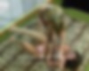 77919106_{w2101}_30.jpg